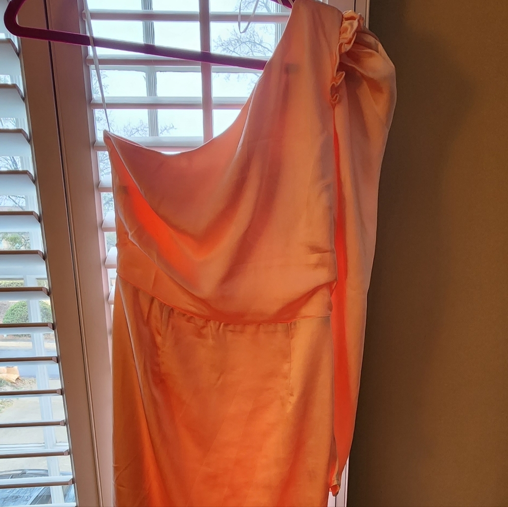 Blush One Shoulder Dress